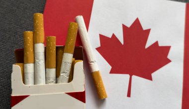 Sigara içilmiyor. Kanada bayrağı sigara içmenin yol açtığı zararın bir sembolü olarak kırık bir sigarayı tasvir eder. Yüksek kalite fotoğraf