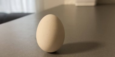 Arka planda bir beyaz yumurta. Yaratıcı asgari konsept. Yüksek kalite fotoğraf