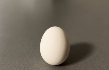 Arka planda bir beyaz yumurta. Yaratıcı asgari konsept. Yüksek kalite fotoğraf