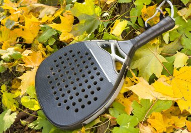 Padel raketi ve sarı sonbahar yaprakları. Yüksek kalite fotoğraf