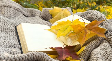 Sarı Sonbahar Yaprakları Arkaplanlı Sonbahar Kitabı. Dünya Kitap Günü. Sonbahar Arkaplanı. Yüksek kalite fotoğraf