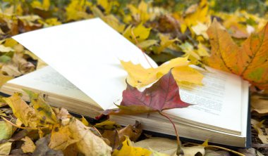 Autumn Park 'ın arka planında açık bir kitap. Üstünde sonbahar yaprakları olan bir ekose kitap. Yüksek kalite fotoğraf