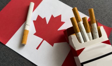 Siyah arka planda sigara bulunan Kanada bayrağı. Yüksek kalite fotoğraf