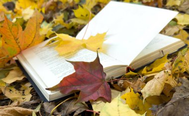 Sarı Sonbahar Yaprakları Arkaplanlı Sonbahar Kitabı. Dünya Kitap Günü. Sonbahar Arkaplanı. Yüksek kalite fotoğraf