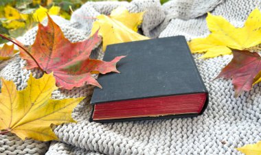 Sarı Sonbahar Yaprakları Arkaplanlı Sonbahar Kitabı. Dünya Kitap Günü. Sonbahar Arkaplanı. Yüksek kalite fotoğraf