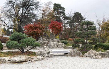 Şehirde sonbahar. Parkta kırmızı-turuncu yapraklı ağaçlar. Güzel bir manzara, Japon tarzı peyzaj tasarımında küçük bir gölet. masaüstü duvar kağıdı. Sonbahar sıcağı, güneşli hava, antiklon. Krasnodar. Yüksek kalite fotoğraf