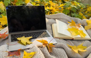 Autumn akçaağaç yapraklarını dizüstü bilgisayarın yanında yak. Renkli sonbahar konsepti. Üst manzara ve düz yatış. Samimi çalışma alanı. - Evet. Yüksek kalite fotoğraf
