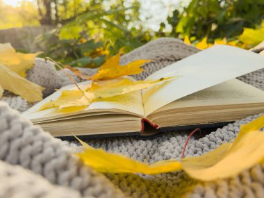 Sarı Sonbahar Yaprakları Arkaplanlı Sonbahar Kitabı. Dünya Kitap Günü. Sonbahar Arkaplanı. Yüksek kalite fotoğraf