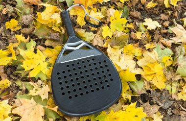 Padel raketi ve sarı sonbahar yaprakları. Yüksek kalite fotoğraf