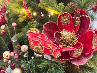 Noel ağacı arkaplanının yakın görüntüsü. Yüksek kalite fotoğraf