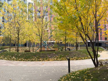 Sonbahar parkı yolu, bulutlu gökyüzü ve yapraklar. Yüksek kalite fotoğraf