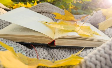 Autumn Park 'ın arka planında açık bir kitap. Üstünde sonbahar yaprakları olan bir ekose kitap. Yüksek kalite fotoğraf