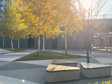 Sonbahar parkı yolu, bulutlu gökyüzü ve yapraklar. Yüksek kalite fotoğraf