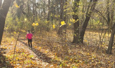 Sonbahar ormanı patikası. Güz koşucusu kadın çok güzel yeşillik ormanlarında doğa arka planında. Asyalı mutlu sporcu kadın dışarıda antrenman yapıyor. - Evet. Yüksek kalite fotoğraf