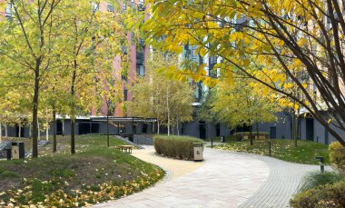 Yolun kenarında boş bir ahşap bank. - Evet. Yüksek kalite fotoğraf