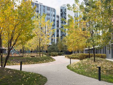 Sonbahar parkı yolu, bulutlu gökyüzü ve yapraklar. Yüksek kalite fotoğraf