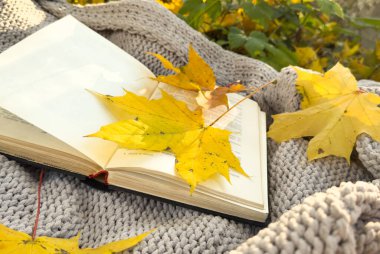 Autumn Park 'ın arka planında açık bir kitap. Üstünde sonbahar yaprakları olan bir ekose kitap. Yüksek kalite fotoğraf