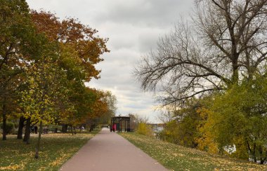 Sonbahar parkı yolu canlı sarı ve yeşil ağaçlarla kaplı, yere düşen yapraklar, sakin bir şehir kaçışı sağlıyor. Yüksek kalite fotoğraf