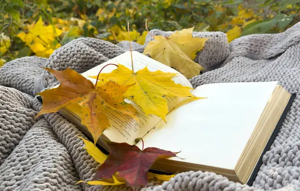 Sarı Sonbahar Yaprakları Arkaplanlı Sonbahar Kitabı. Dünya Kitap Günü. Sonbahar Arkaplanı. Yüksek kalite fotoğraf
