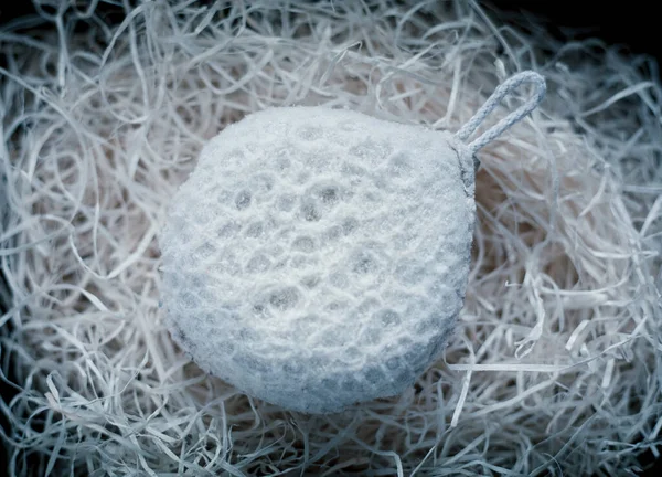 Closeup Photo White Exfoliating Bath Sponge — Stock Photo, Image