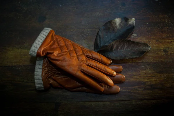 Closeup Photo Pair Stylish Leather Gloves — Stock Photo, Image