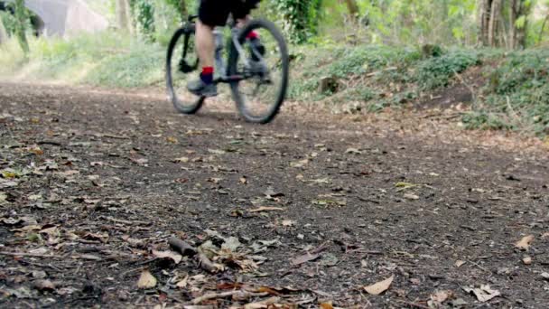 Bir Bisikletçi Peş Peşe Koşan Bir Koşucuyla Birlikte Doğanın Görüntüleri — Stok video