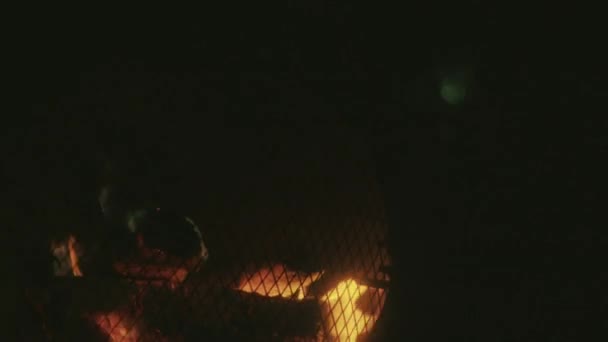 Съемка Крупным Планом Пожара Саду Ночью — стоковое видео