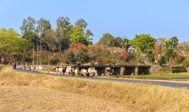 Purulia, West Bengal, India.- March,04, ,2023: Indian Curvy Tarmac Highway surrounded by trees and Mountains. clipart