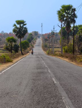 Manzaralı Hint Ulusal Otoyolu Palaş Ağaçları ve Ormanı ile çevrili.