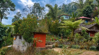 Pelling, Hindistan 'daki Orange Garden Manzarası.