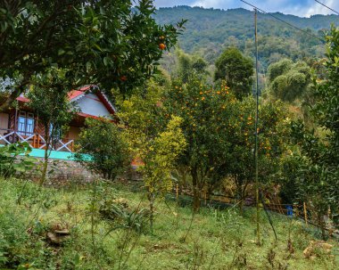 Pelling, Hindistan 'daki Orange Garden Manzarası.