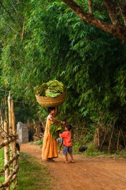 Balasore, Odisha, Hindistan - 26 Ekim 2023: Oğluyla birlikte tanımlanamayan bir kırsal kadın, başının üzerinde yapraklar taşıyor.. 