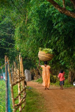 Balasore, Odisha, Hindistan - 26 Ekim 2023: Oğluyla birlikte tanımlanamayan bir kırsal kadın, başının üzerinde yapraklar taşıyor.. 