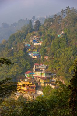 09 Ocak 2024 Kurseong, Batı Bengal. Hindistan. Hillside Binalarının dikey görünümü.