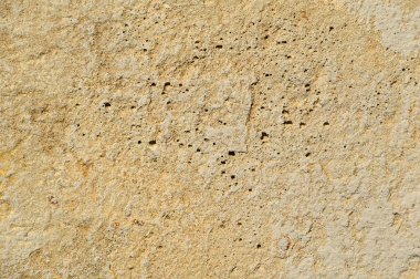 Kabuklu kaya malzemesinden duvar arkaplanı