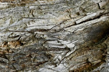 Çatlak ahşap kaplamalı eski bir çekim, yakın plan.