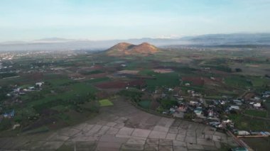 View from above of agricultural parcels of different crops in yellow and green colors on the mountain. Aerial view shoot from drone directly above fields.