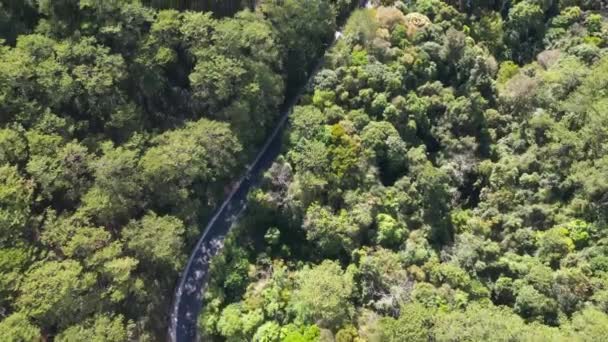 Vista Aérea Del Camino Rural Que Pasa Través Del Bosque — Vídeos de Stock