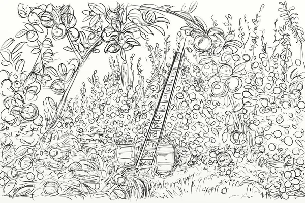 Vinobraní Ilustrace Přírodou — Stock fotografie