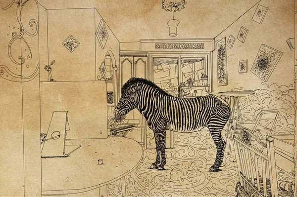 Zebra All Interno Una Vecchia Casa Disegno Carta — Foto Stock