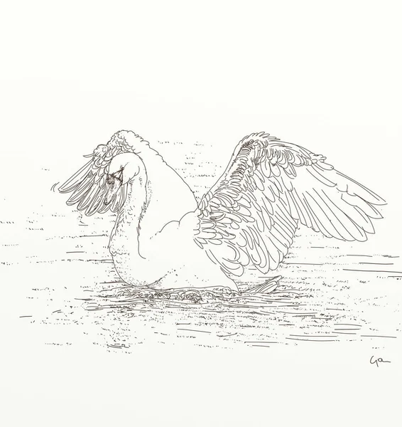 Swan on the water. Drawing on old paper. Vintage style.