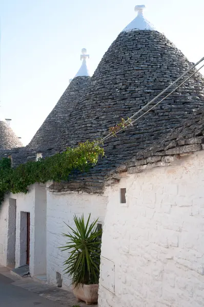 Παραδοσιακά Σπίτια Trulli Στη Νότια Ιταλία Περιοχή Puglia Πόλη Alberobello — Φωτογραφία Αρχείου