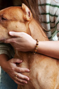 Kadın kırmızı pitbull köpeğine sarılıyor.