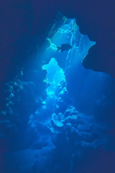 세계의 아름다움 이집트에서 스쿠버 다이빙 로열티 프리 스톡 이미지