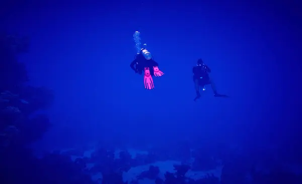 水中世界の美しさ 深くダイバー 紅海でのスキューバダイビング エジプト ストックフォト