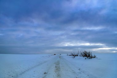 Arka planda ağaç olan güzel bir manzara.