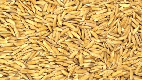 新鲜收获的干有机茉莉花水稻种子在桌上的上视图轮转 — 图库视频影像