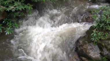 Clear natural mountain stream running down splashing over boulder in tropical rainforest of Thailand.