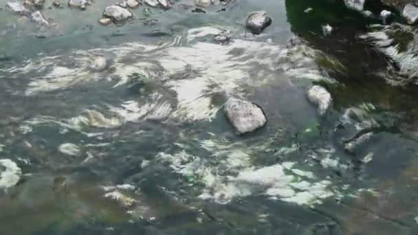 在温泉的溪流中 高角度的白藻植物或叶绿素丛在摇曳 这段录像是在泰国柴森国家公园的温泉里拍摄的 — 图库视频影像