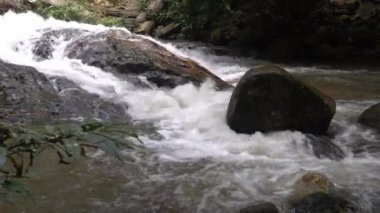 Clear natural mountain stream water flowing over big rocks in the rainforest in spring.